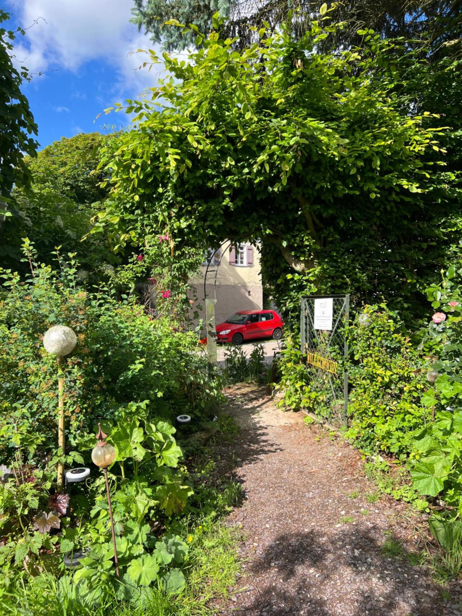 Ferienwohnung Ferieninrosengarten 1 Zi App 190 cm Deckenhöhe oder große DG WHG Exterior foto