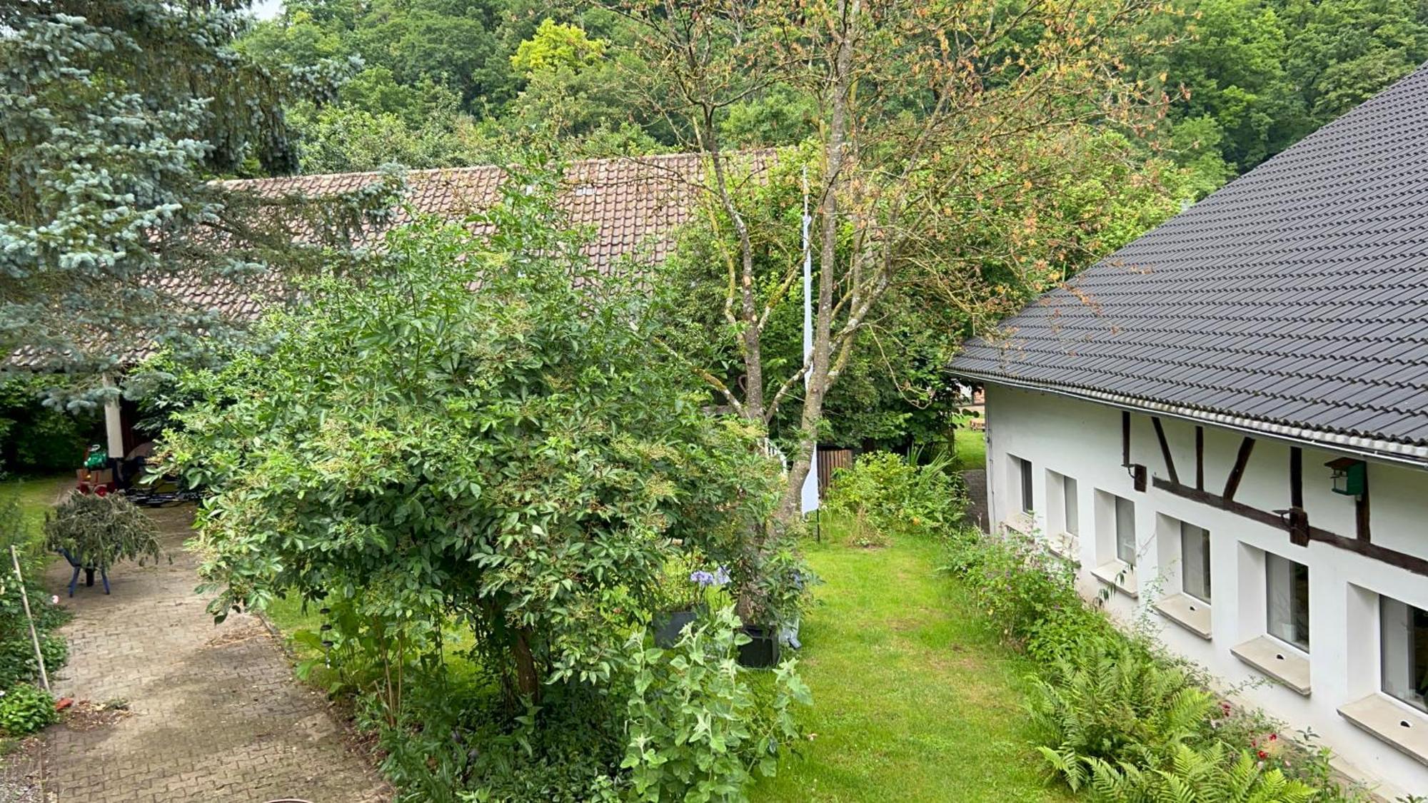 Ferienwohnung Ferieninrosengarten 1 Zi App 190 cm Deckenhöhe oder große DG WHG Exterior foto