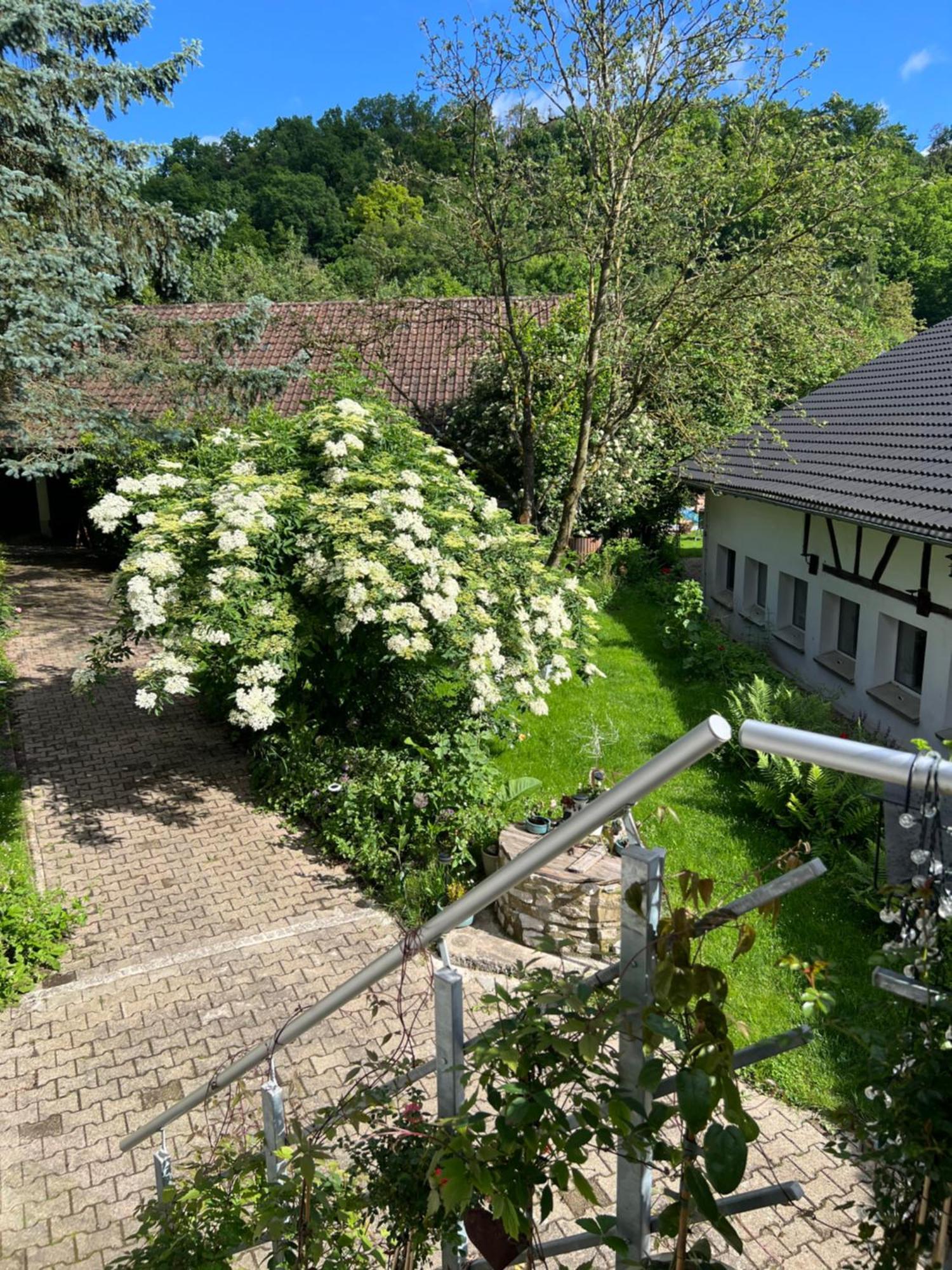 Ferienwohnung Ferieninrosengarten 1 Zi App 190 cm Deckenhöhe oder große DG WHG Exterior foto